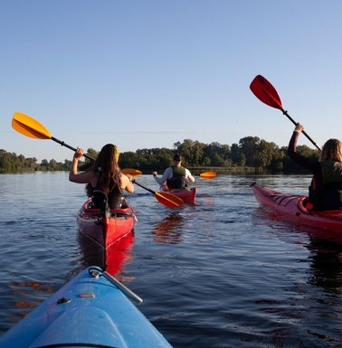 be traveler diseños (3)